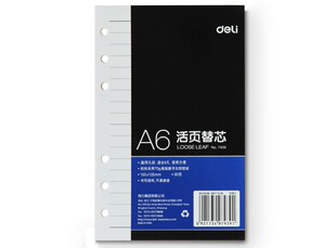 90页 105mm活页内芯 得力7939活页替芯 A6活页芯6孔活页本替芯165