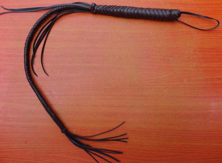 Article sports equestres - Ref 1381481 Image 1