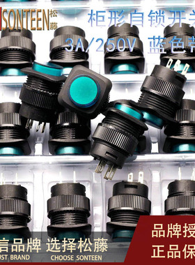 带灯自锁开关按钮开关/R16-504AD 柜形16MM 3A/250V绿色(5个)