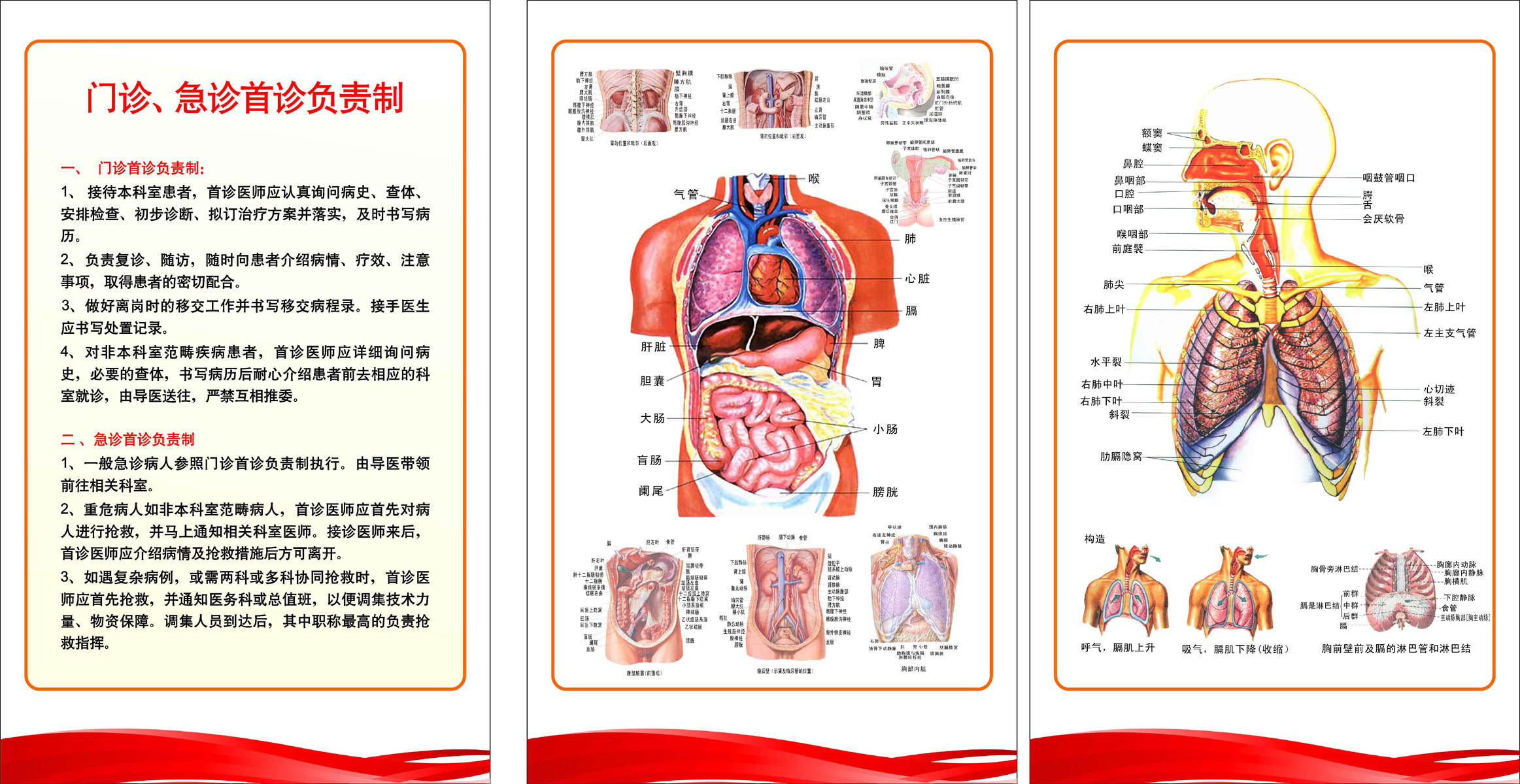 655海报印制定制展板素材190医院内科器官解剖图门急首诊负责制