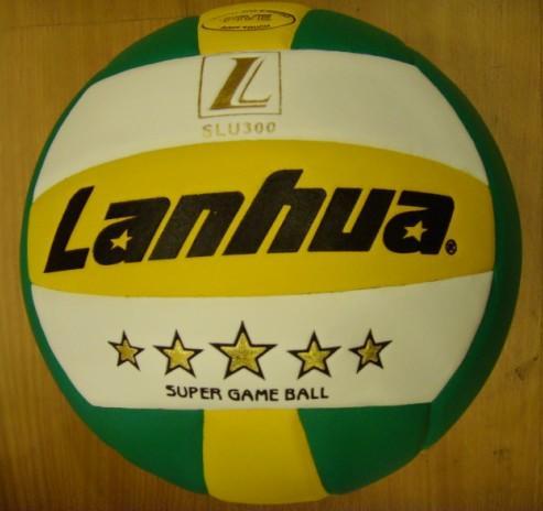 Ballon de volley - Ref 2009592 Image 1