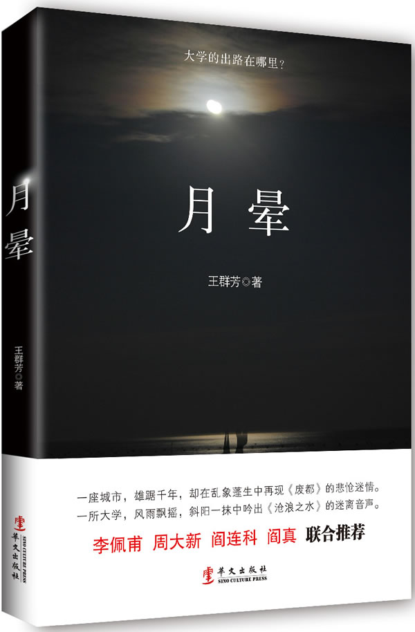 正版 月晕 王群芳 书店 社会小说书籍 书 畅想畅销书