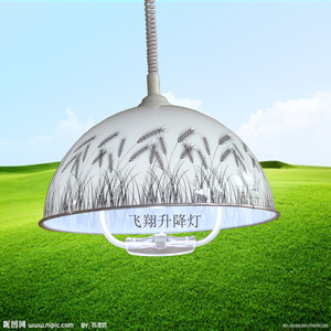 灯具餐厅吊灯儿童书房写字台吊灯升降灯麻将灯宾馆棋牌室升降灯26