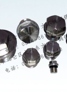 G1/4外六角带垫螺塞, DIN910, 不锈钢G1/4螺塞, 外六角法兰螺塞