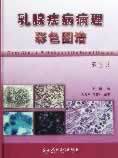 【包邮】正版 乳腺疾病病理彩色图谱(第2版) 人民卫生出版社 付丽