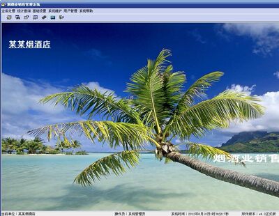 烟酒业销售管理系统 烟酒销售管理系统正式版 烟酒管理系统
