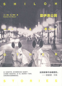 夏伊洛公园 畅想畅销书