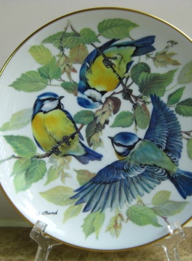 德国 Tirschenreuth 鸣禽 22K金边限量装饰收藏盘