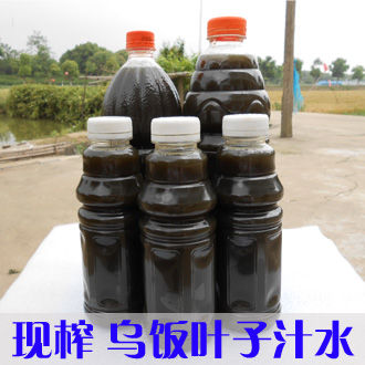 现榨高浓度南烛叶汁新鲜乌米饭汁乌米粽八宝饭食材江浙沪5瓶包邮