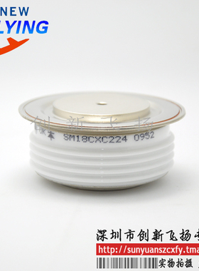 SM18CXC224功率模块电源模块SUNYUANSZ一级代理全新原装