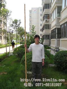 带黄皮武术棍 少林棍术传统普通型成人武术杆白蜡杆 长260厘米