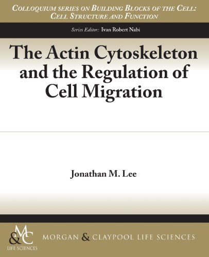 【预售】The Actin Cytoskeleton and the Regulation of C...