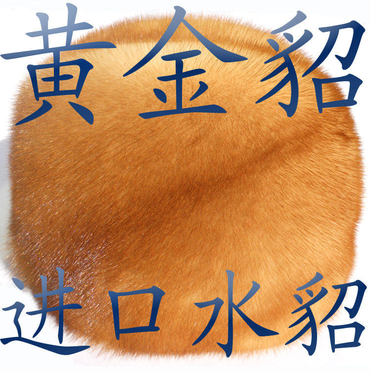 秋冬天户外进口整皮黄金貂水貂帽子 真皮男帽 中老年整貂皮草帽男