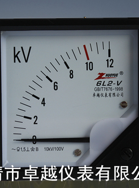6L2-V 0-12KV 10/0.1KV 限时厂家直销优质指针交流高压电压表