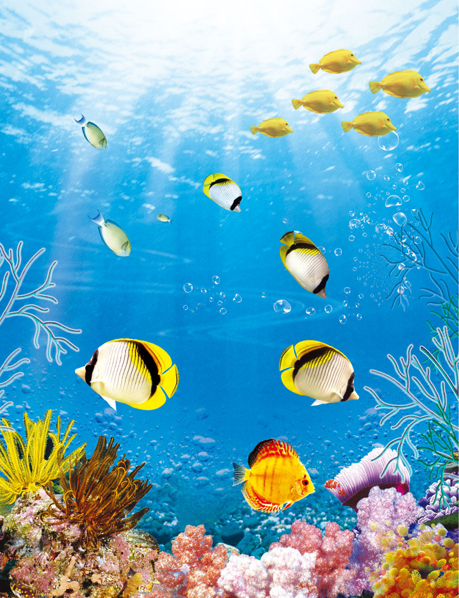 429海报印制海报展板素材95海底景色图片海底背景