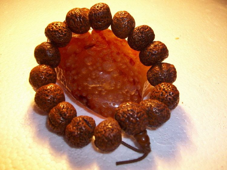 蟾宝菩提蝉宝菩提小艾草菩提无瓣小金刚圆寂肉身菩提长寿小金线