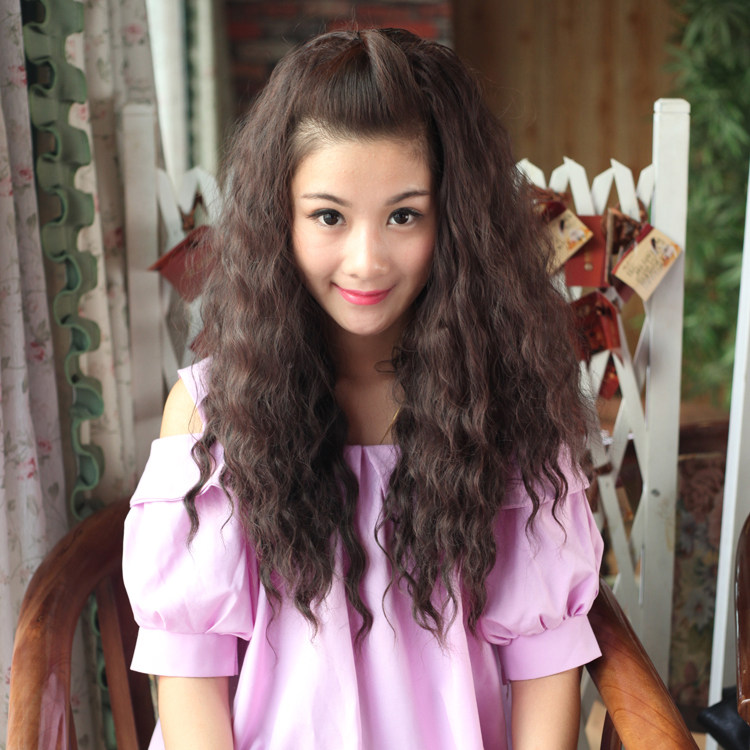 Perruque Harsh pelucheux confirme - Ref 2613374 Image 1