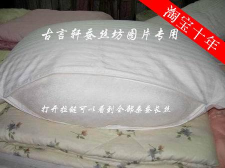纯蚕丝枕桑蚕丝长丝枕头真丝枕芯颈椎保健枕护颈枕健康枕特价正品