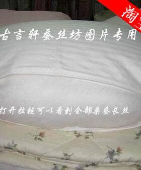 纯蚕丝枕桑蚕丝长丝枕头真丝枕芯颈椎保健枕护颈枕健康枕特价正品