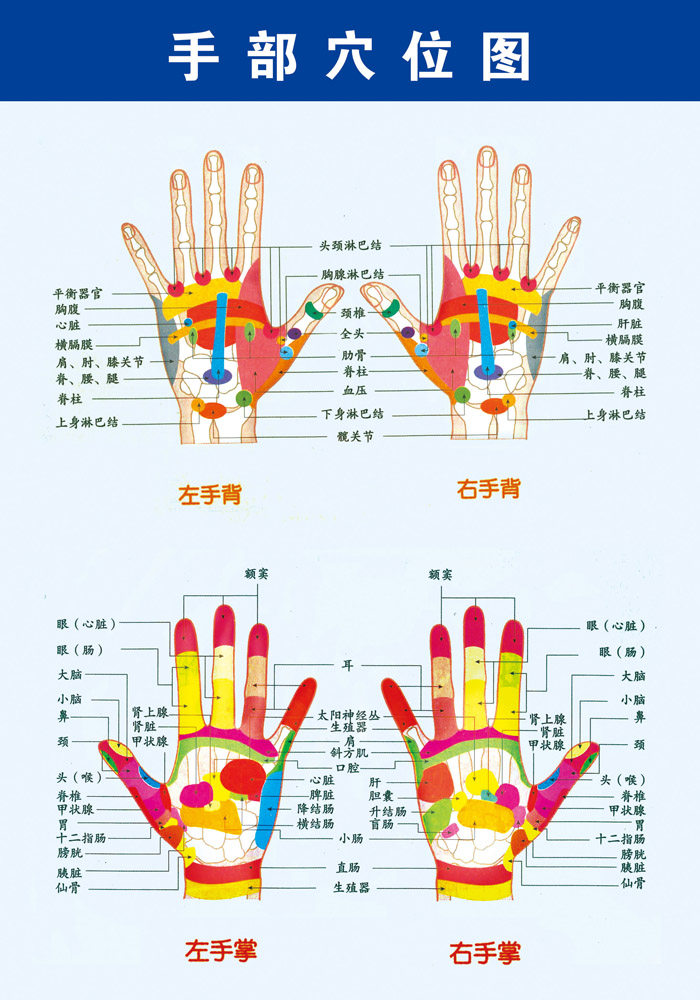 569海报印制海报展板素材7手部穴位图 - 副本 非高清图