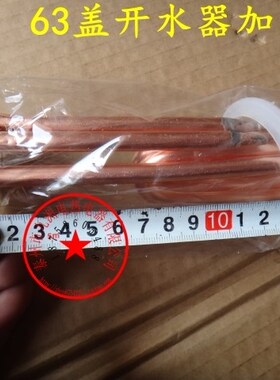 全铜 63MM盖 标准型 开水器加热管220V 3KW 电水炉加热管