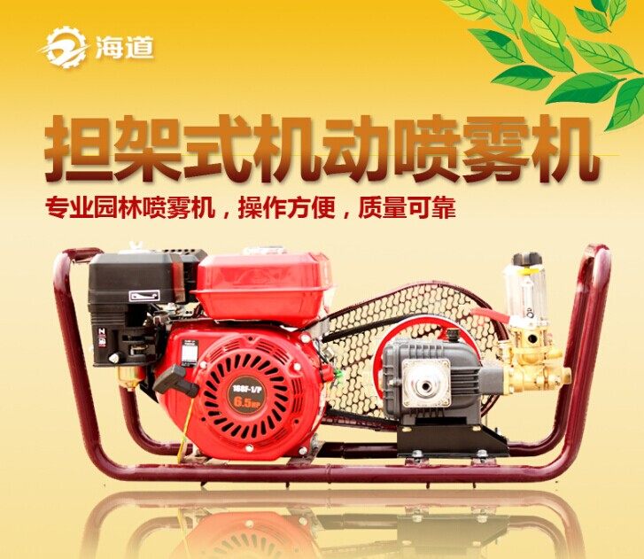 海道 担架式喷雾机高压机动打药机6.5马力汽油动力喷雾器喷雾机,鲜花速递/花卉仿真/绿植园艺,其它园艺用品,淘宝优惠券,粉丝福利购,淘宝优惠卷