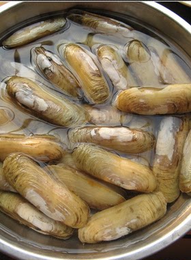 0鲜活海贝野生双头顺丰蛏子