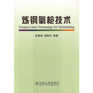 炼钢氧枪技术/袁景福 潘贻芳