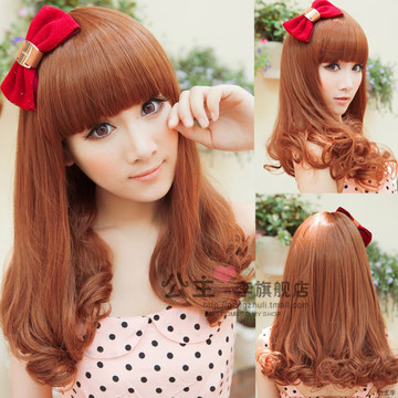 Perruque Les cheveux longs - Ref 2613235 Image 1