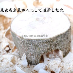 爬虫实木躲避洞穴 蜘蛛 壁虎 蝎子小宠实木安全屋