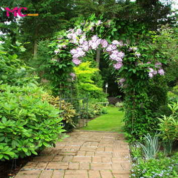 是发QQ邮箱的一张JPG格式的图片