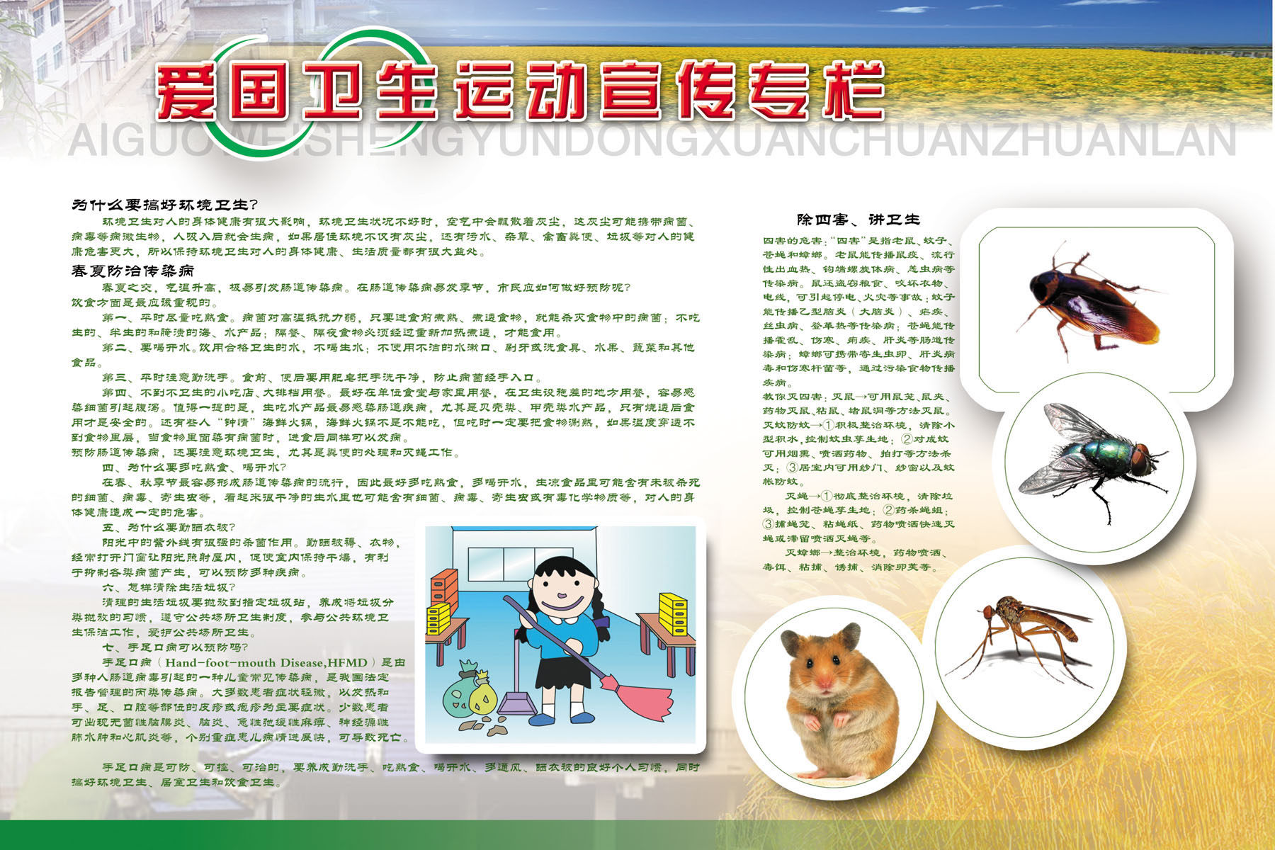 659海报印制展板素材823爱国卫生运动宣传栏除四害知识