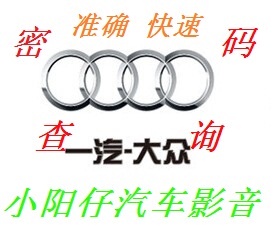 进口国产奥迪TT A43 16 A8 收音机CD DVD 导航音响密码查询 解码
