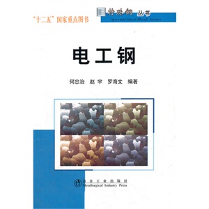 电工钢   何忠治__特殊钢丛书