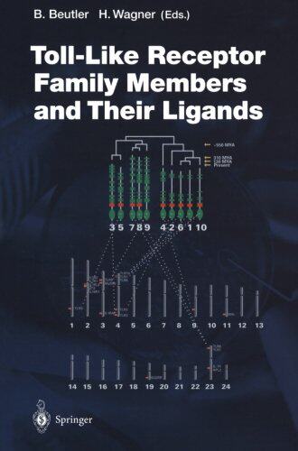 美国库房发货,通常付款后5-8周到货！