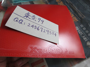 日本TSP XSF.1-21  李佳薇使用  高校版 反胶套胶