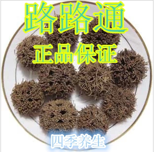 精选路路通 六六通 枫球子 枫树球 枫实 枫香果 50克发包邮