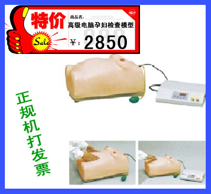 高级电脑孕妇检查模型 怀孕检查教学仪器/实验器材