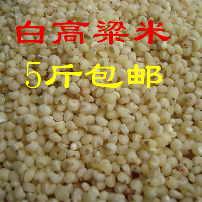 农家自制去皮高粱米 点黏白高粱米 500g杂粮红高粱米 5斤包邮