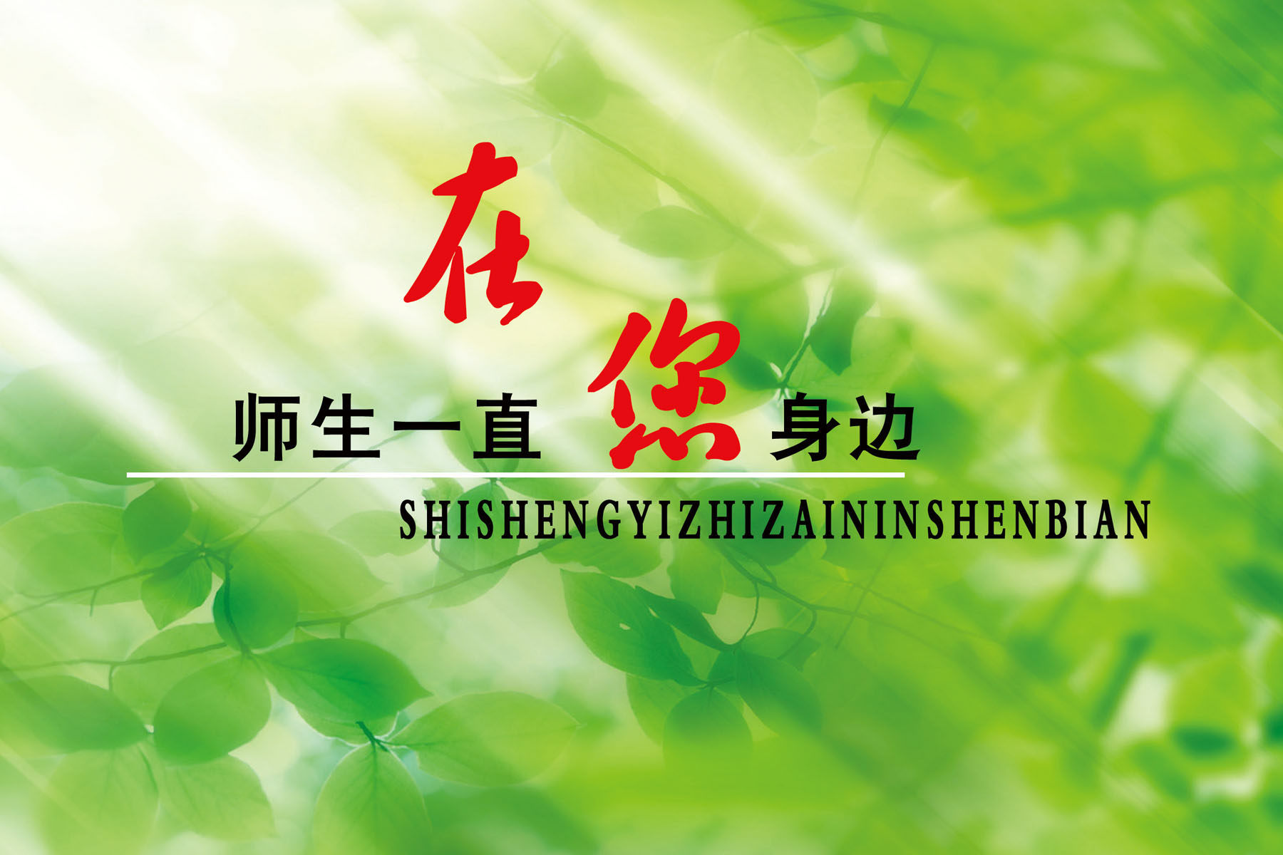 海报印制541设计展板素材541学校文化师生一直在您身边定制