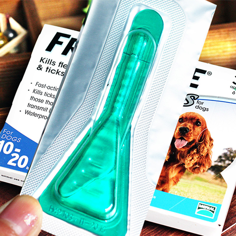 你这狗啥品种啊？蜜汁笑容：中华田园犬