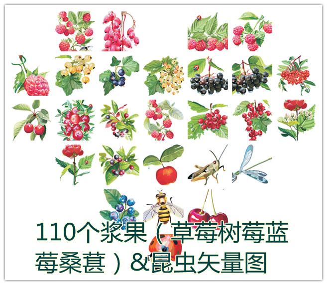 矢量设计素材 110个卡通浆果图案蓝莓树莓桑葚草莓&昆虫 AI格式