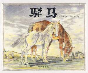 正版包邮 驿马(信谊图画书) 萧袤 书店 卡通动漫书籍 书 畅想畅销书