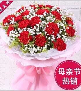 大连19朵红色母亲节鲜花送妈妈
