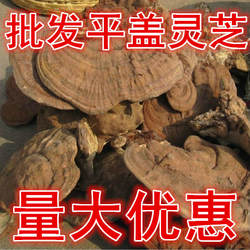 散装大兴安岭东北新货野生树舌平盖灵芝带粉老牛肝整个块500g包邮
