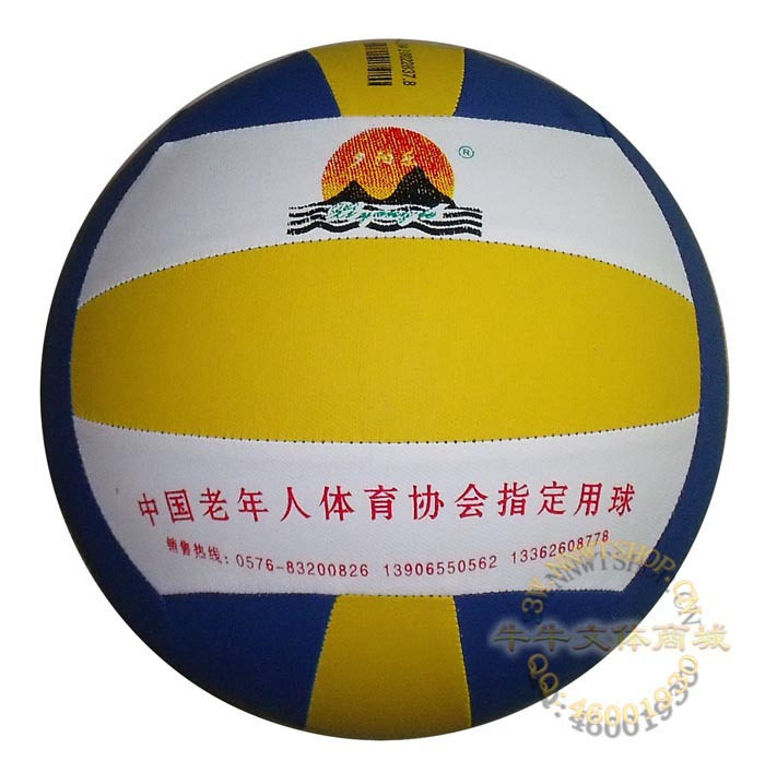 Ballon de volley-ball - Ref 2010951 Image 1