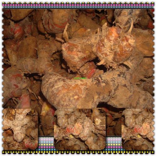 南姜潮州姜 潮汕卤水配料海鲜类调味品佐料 潮汕特产地方特色