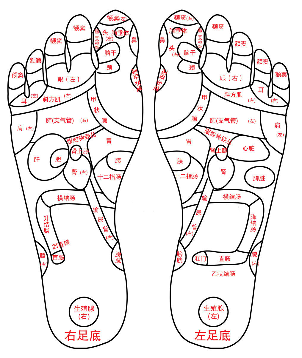 569海报印制海报展板素材346脚底的穴位 非高清图