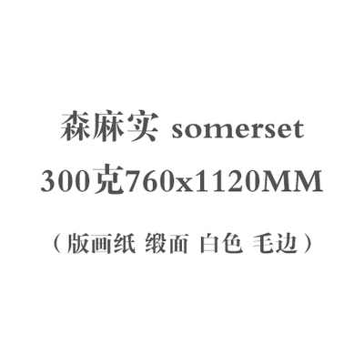 版画纸 SOMERSET 森麻实 300克 全开 锻面 satin 白色 毛边纸