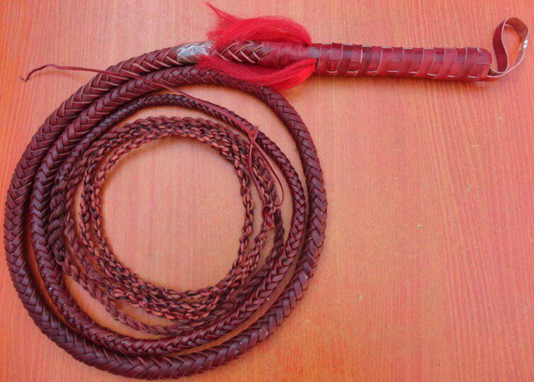 Article sports equestres - Ref 1379323 Image 1